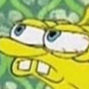 Meet your Posher, Xblitz